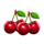 lucky easter bunny cherries symbol icon