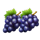 lucky easter bunny grapes symbol icon