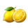lucky easter bunny lemons symbol icon