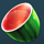 lucky fruit lines watermelon symbol icon