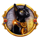 lucky jack tuts treasures cat symbol icon