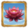 lucky koins pink lotus symbol icon