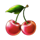 lucky loser cherry symbol icon
