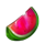 lucky loser melon symbol icon