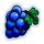lucky streak 1 grape symbol icon