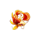 magic panda fish symbol icon