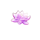 magic panda flower symbol icon