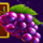magic spinners grape symbol icon