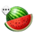 magnetic coins dice watermelon symbol icon