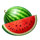 magnetic coins watermelon symbol icon