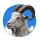 magnificent eagle collectem goat symbol icon