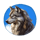 magnificent eagle collectem wolf symbol icon