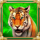 majestic cats tiger symbol icon