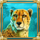 majestic cats tigress symbol icon