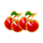 majestic coins extreme cherry symbol icon