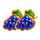 majestic coins extreme grape symbol icon