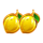 majestic coins extreme lemon symbol icon