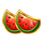 majestic coins extreme melon symbol icon