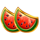 majestic coins melons symbol icon