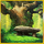 majestic forest buy bonus wild scatter symbol icon