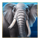 majestic megaways elephant symbol icon