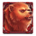 mammoth gold megaways bear symbol icon