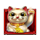 master chens fortune cat symbol icon