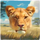 mega cats mega reel lion symbol icon