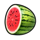 mega coins 2 melon symbol icon