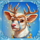 mega merry gifts animal symbol icon