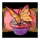 mega moolah absolootly mad brioche symbol icon