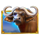 mega tusk buffalo symbol icon