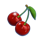mega wild fruits xmas cherry symbol icon