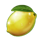 mega wild fruits xmas lemon symbol icon
