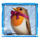 megaways jack frost bird symbol icon