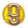 mga pirate adventures 9 symbol icon