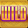 mgm grand gamble wild symbol icon