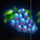 miami bonus wheel grapes symbol icon