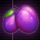 miami bonus wheel plum symbol icon