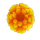 midnight fiesta flower symbol icon