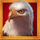 mighty eagle extreme eagle symbol icon