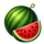 miss cherry wild frames melon symbol icon