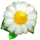 mobilots honey money white flower symbol icon
