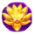 money gong empress flower symbol1 icon