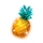 money jungle pineapple symbol icon
