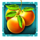 money mouse orange symbol icon