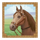 mongol treasures brown horse symbol icon