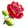 moo moo moo rose symbol icon