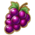 moon joker grapes symbol icon