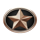 motorhead powerpoints star symbol icon